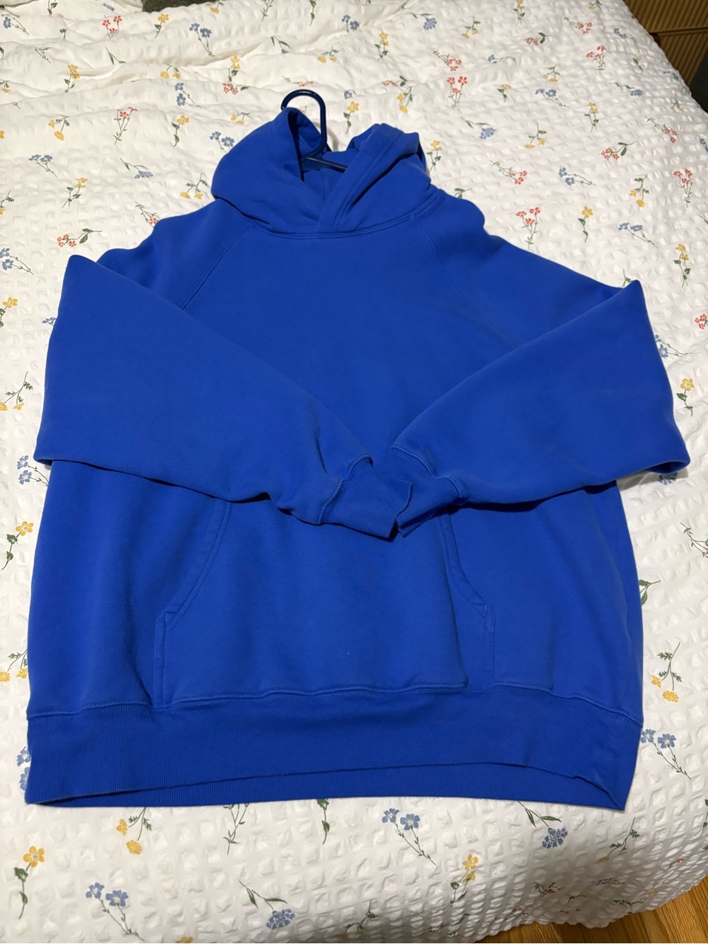 Aritzia Jazz Blue Women's Hooded Sweatshirt